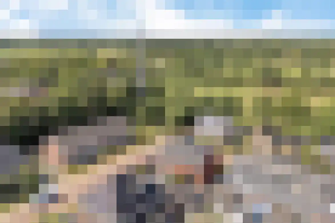 Hege Kamp 8 Ureterp thumbnail 43