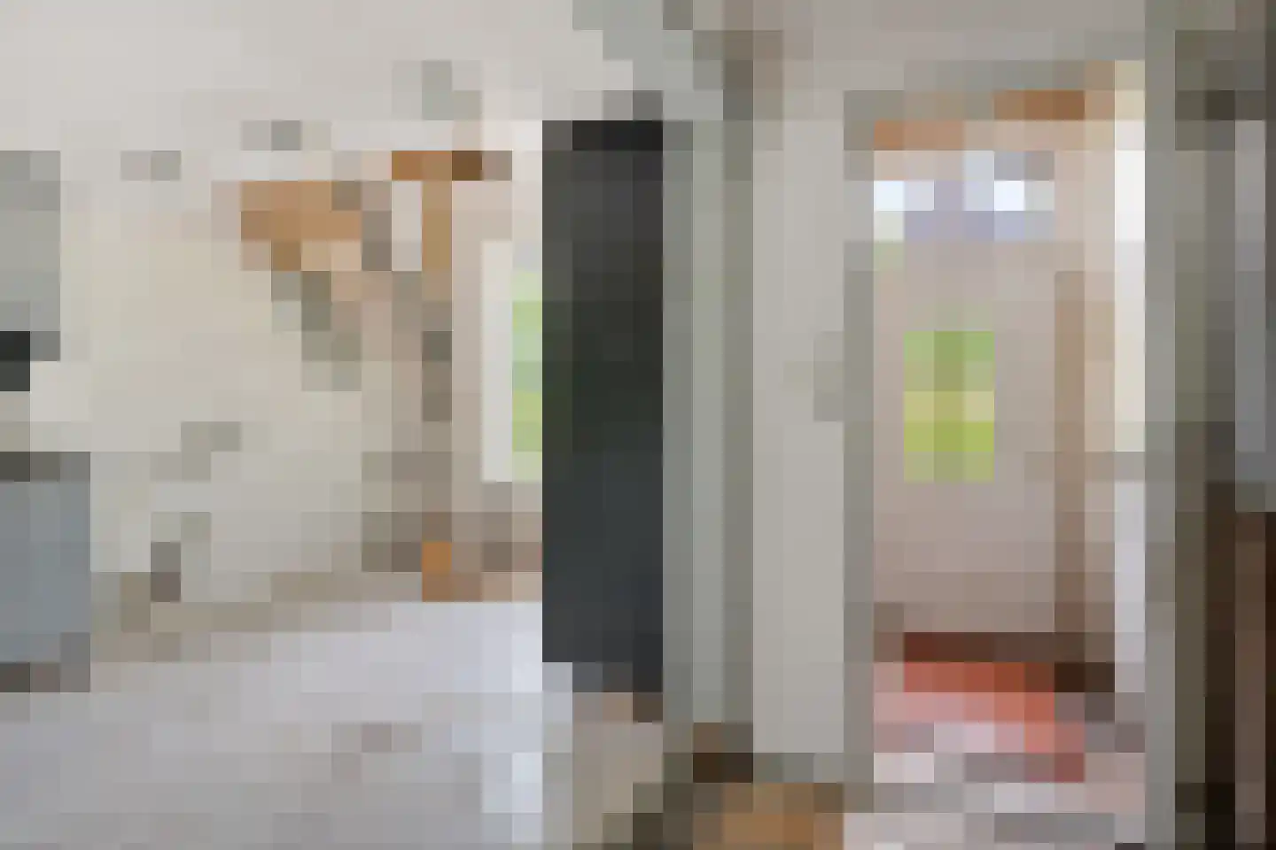 Hegebuorren 1 Stiens thumbnail 10