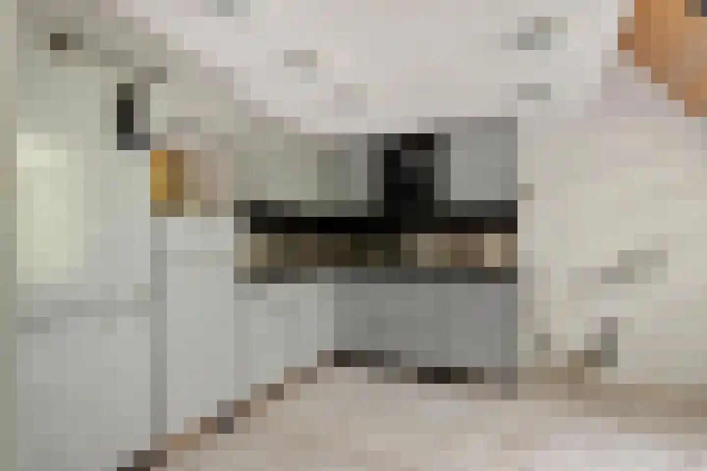 Hegebuorren 1 Stiens thumbnail 11