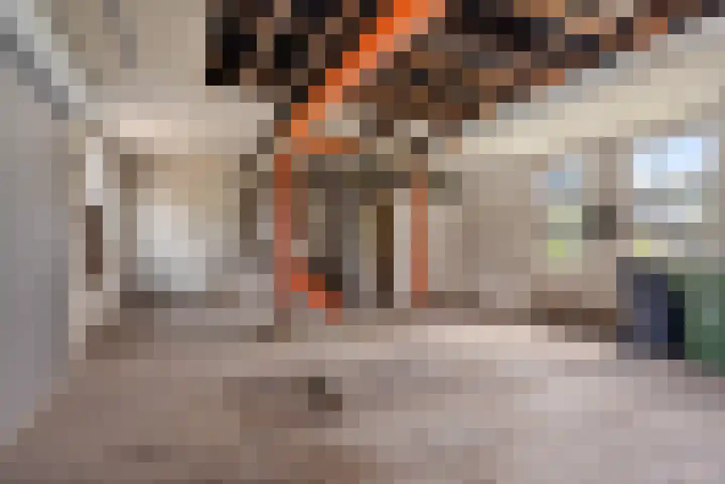 Hegebuorren 1 Stiens thumbnail 20