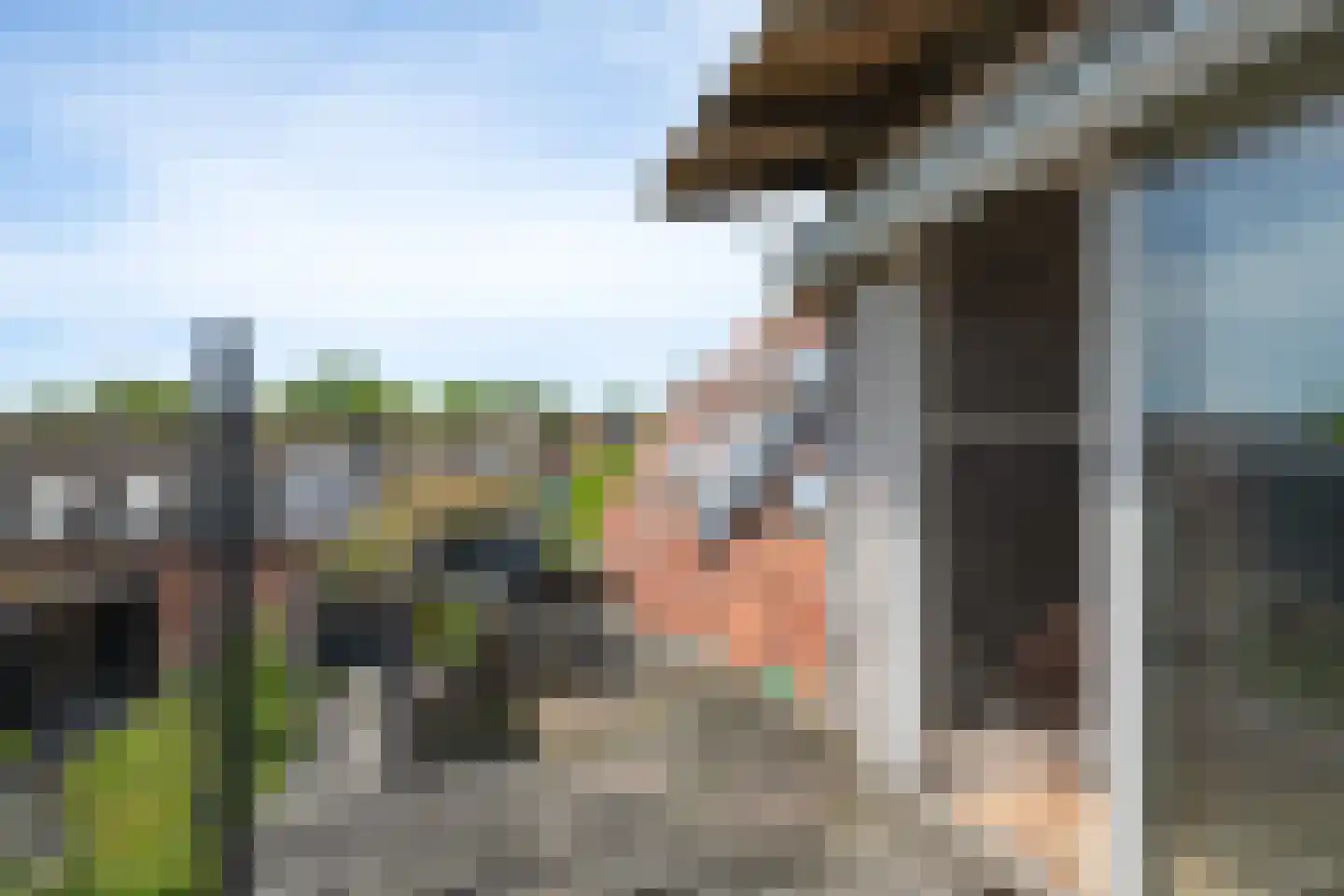 Hegebuorren 1 Stiens thumbnail 26