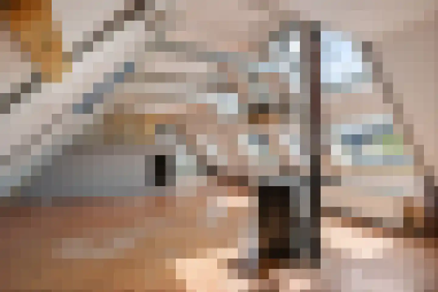 Hegebuorren 1 Stiens thumbnail 29