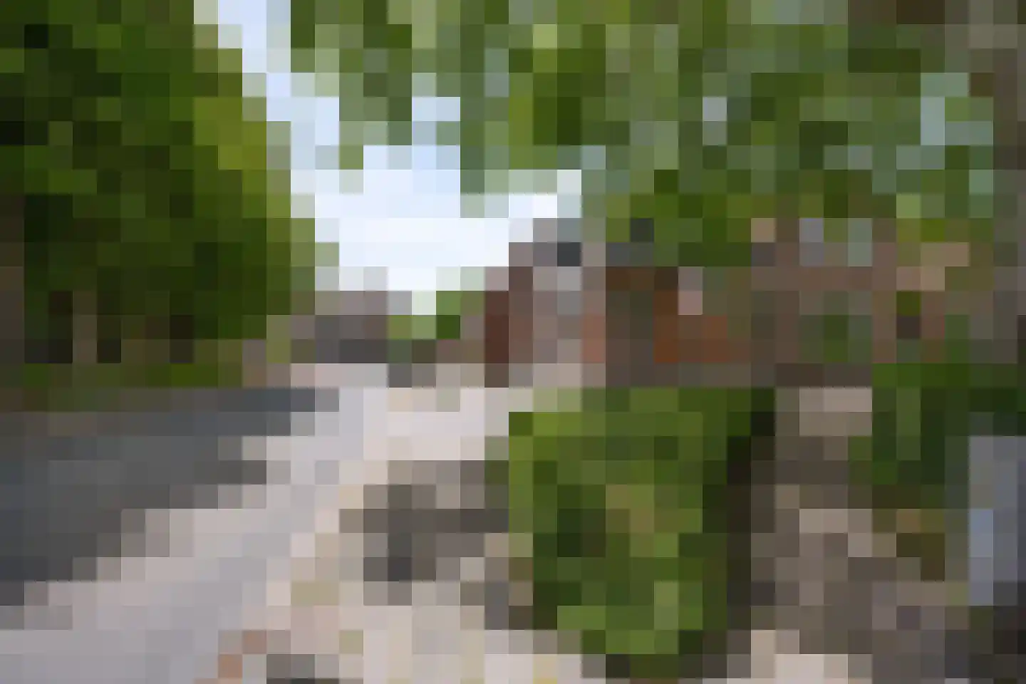 Hegebuorren 1 Stiens thumbnail 4
