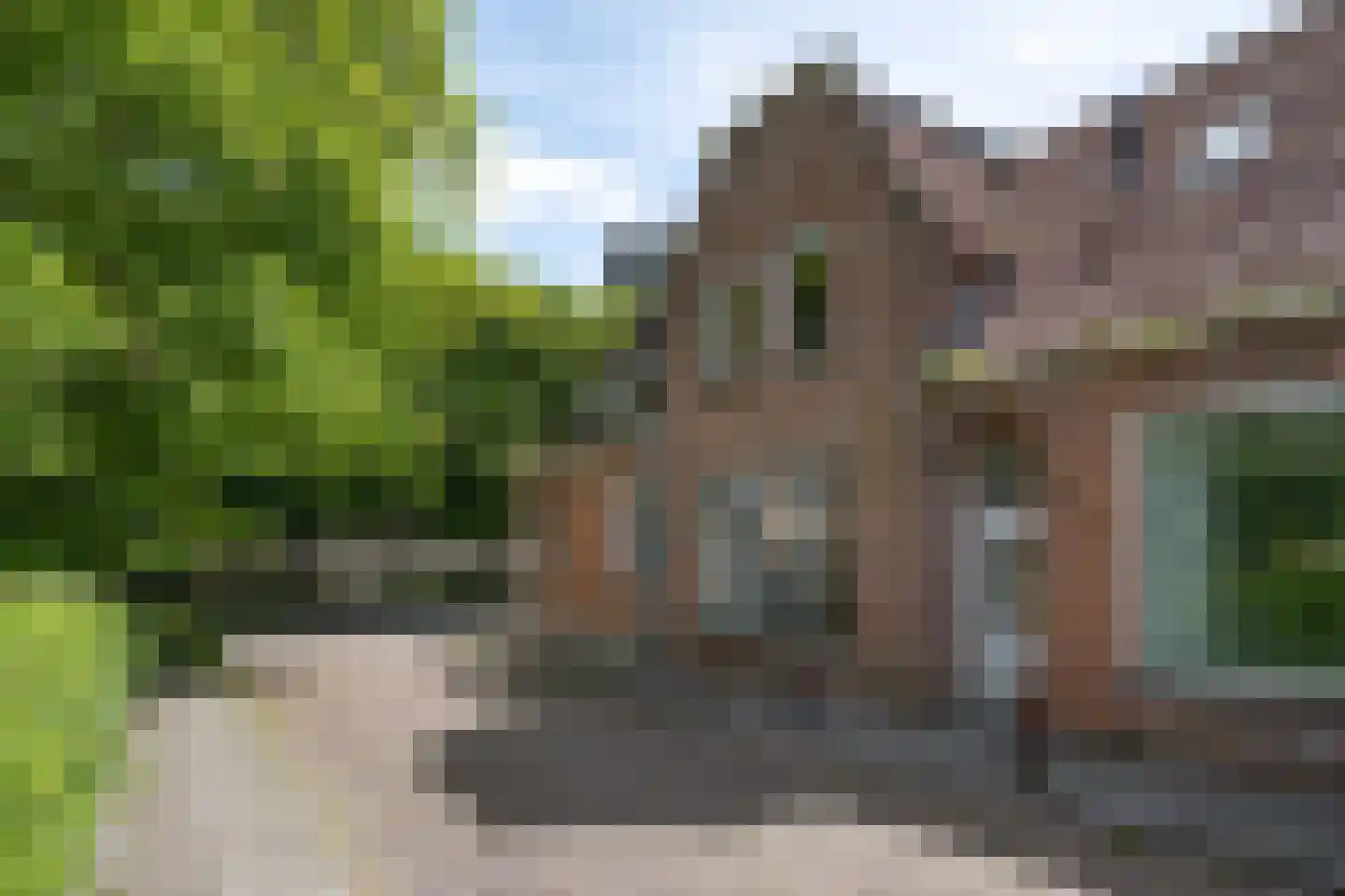 Hegebuorren 1 Stiens thumbnail 6