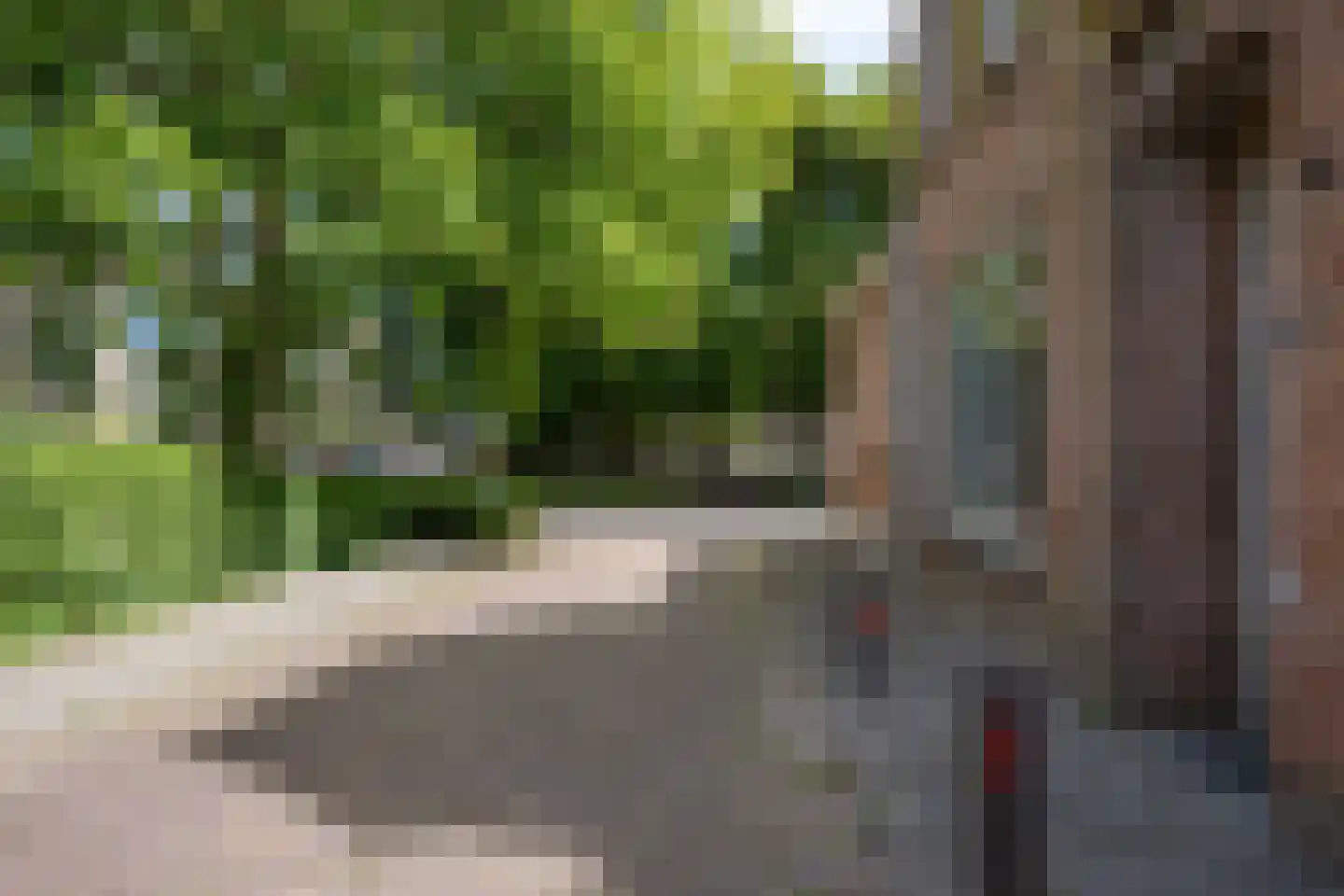 Hegebuorren 1 Stiens thumbnail 8