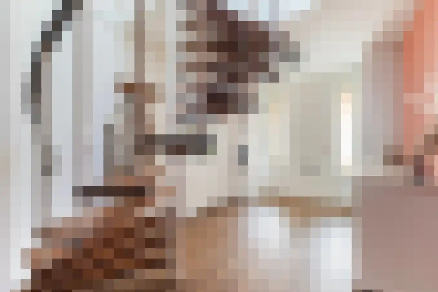 Hegebuorren 11 Holwert thumbnail 10