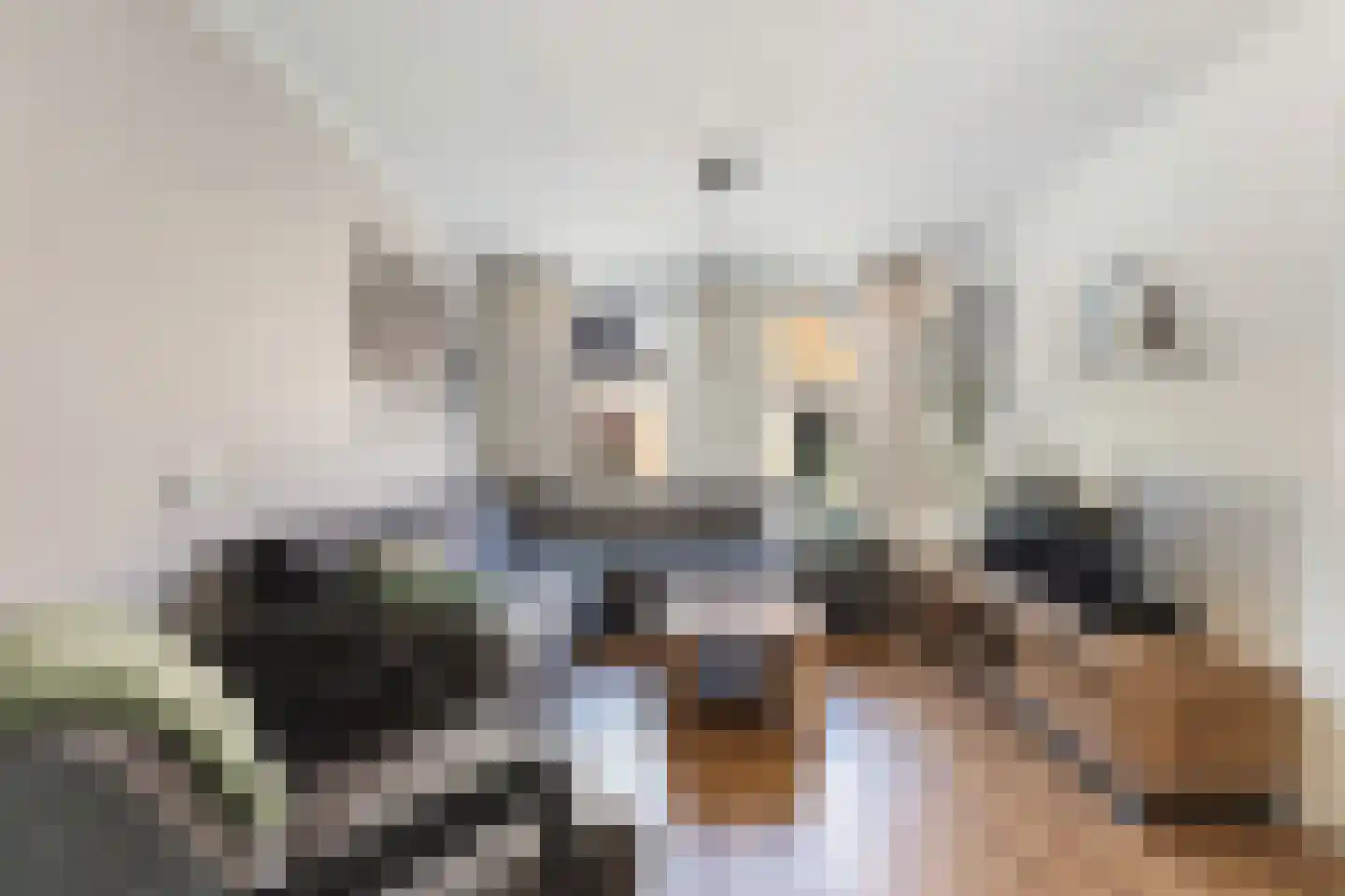 Hegebuorren 11 Holwert thumbnail 13