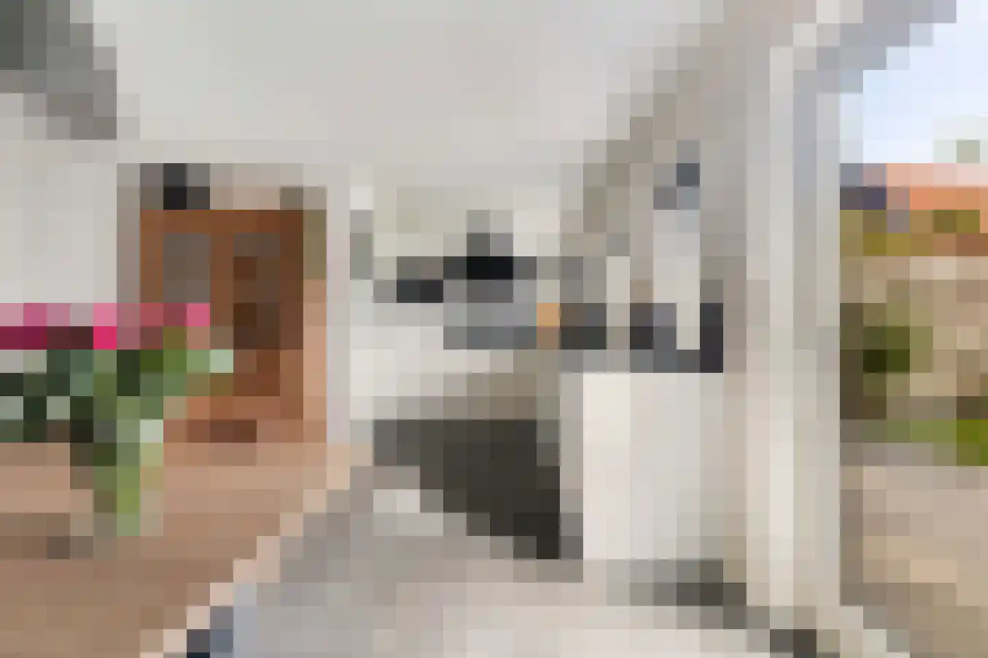 Hegebuorren 11 Holwert thumbnail 17