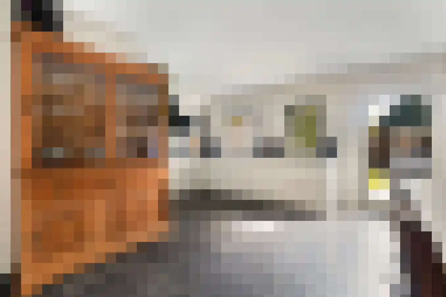 Hegebuorren 11 Holwert thumbnail 18