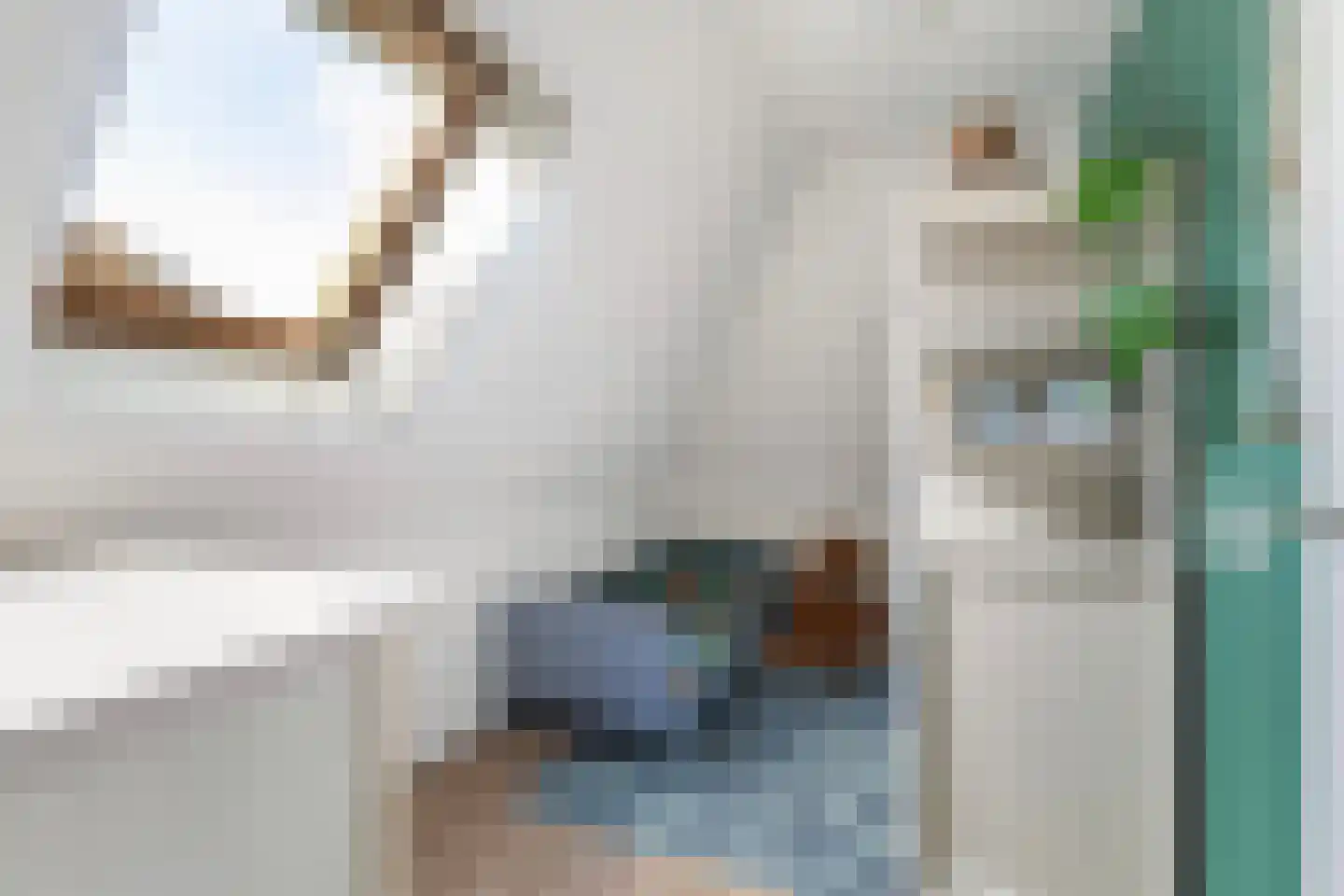 Hegebuorren 11 Holwert thumbnail 28
