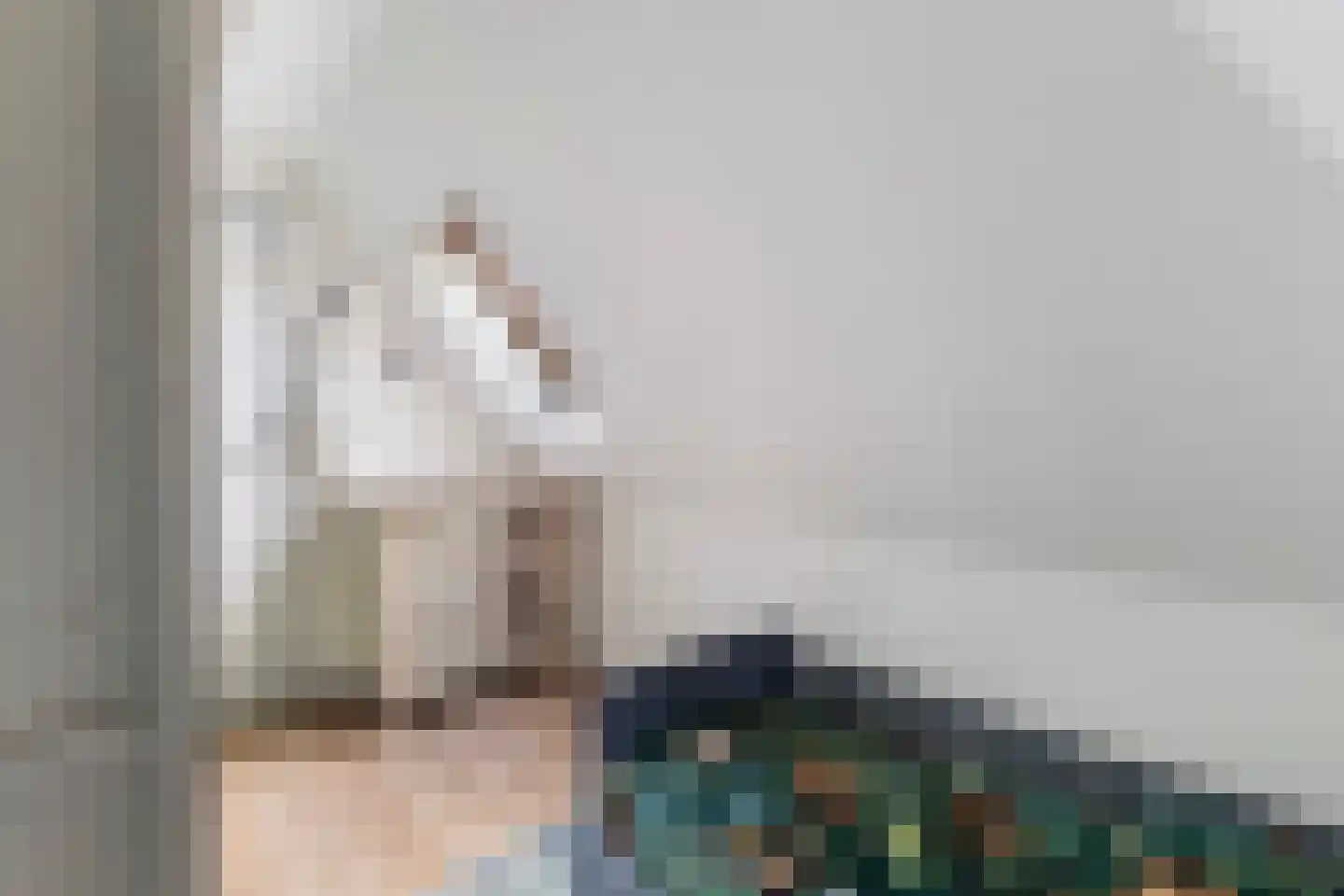 Hegebuorren 11 Holwert thumbnail 29