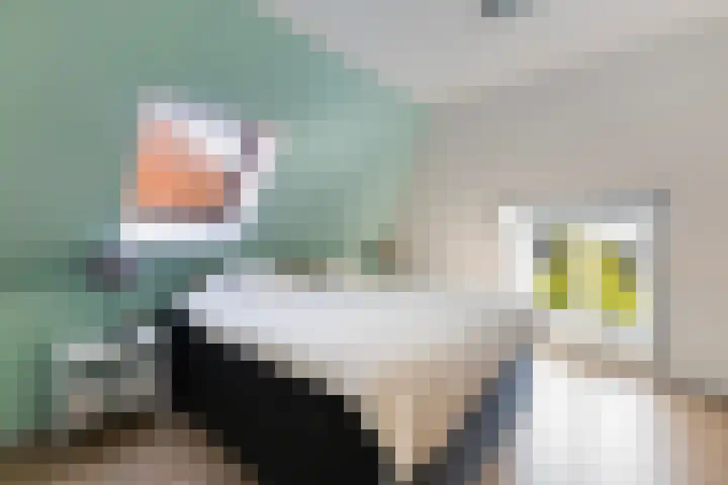 Hegebuorren 11 Holwert thumbnail 30