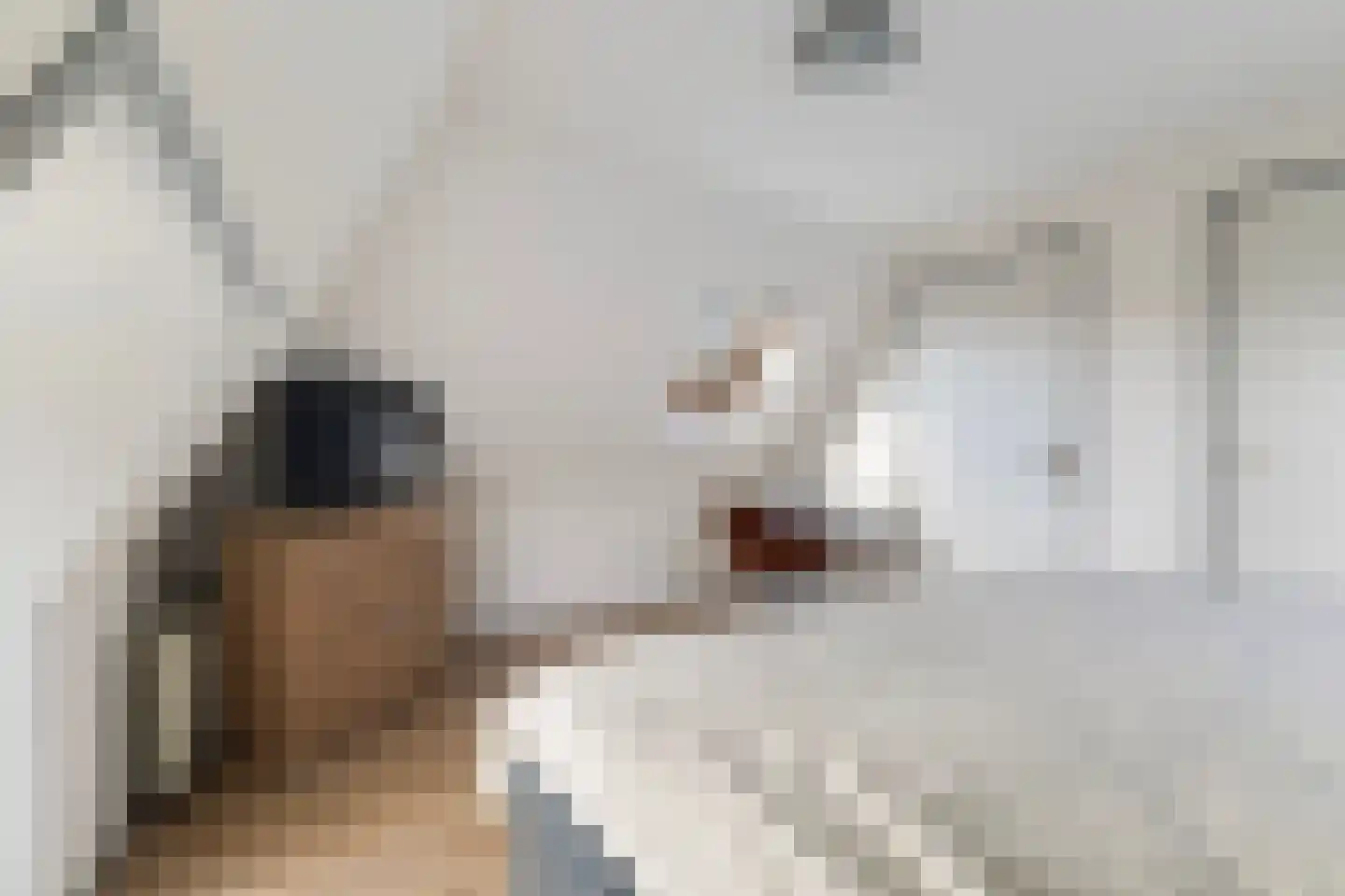 Hegebuorren 11 Holwert thumbnail 31