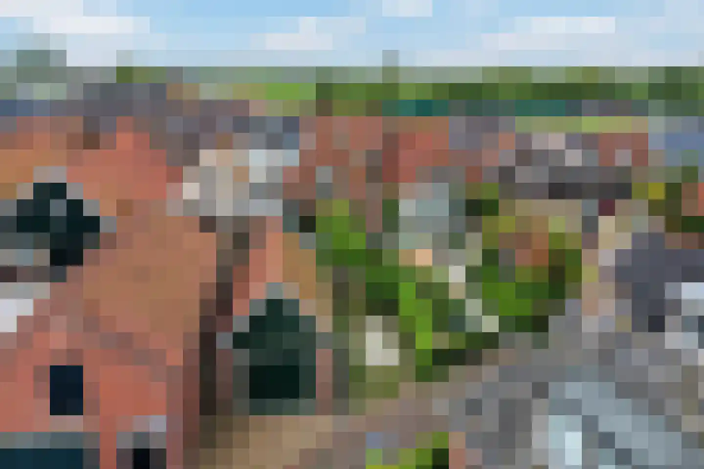 Hegebuorren 11 Holwert thumbnail 38