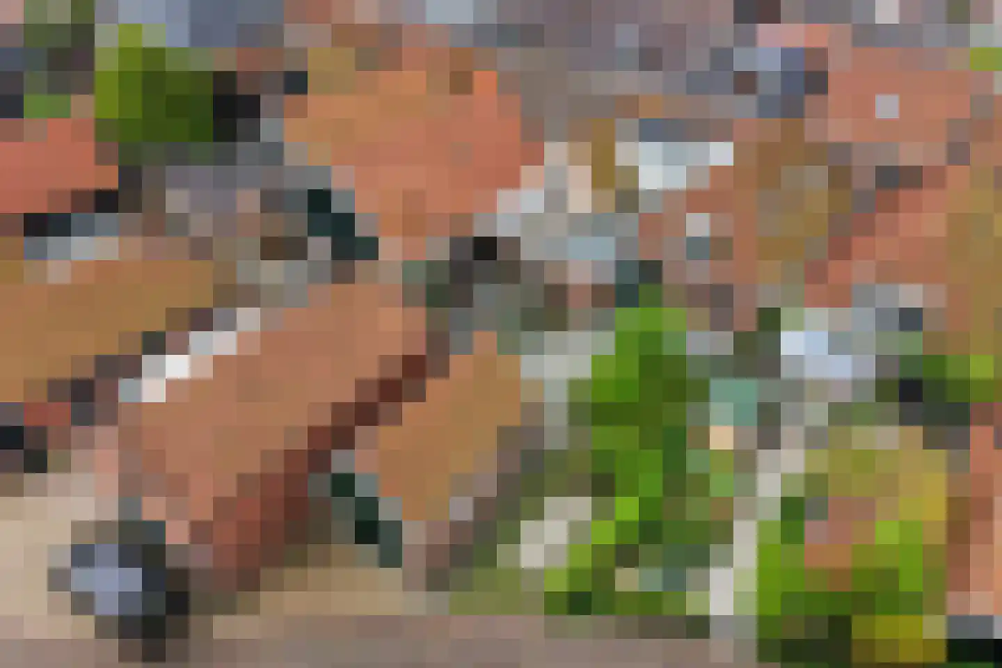 Hegebuorren 11 Holwert thumbnail 39