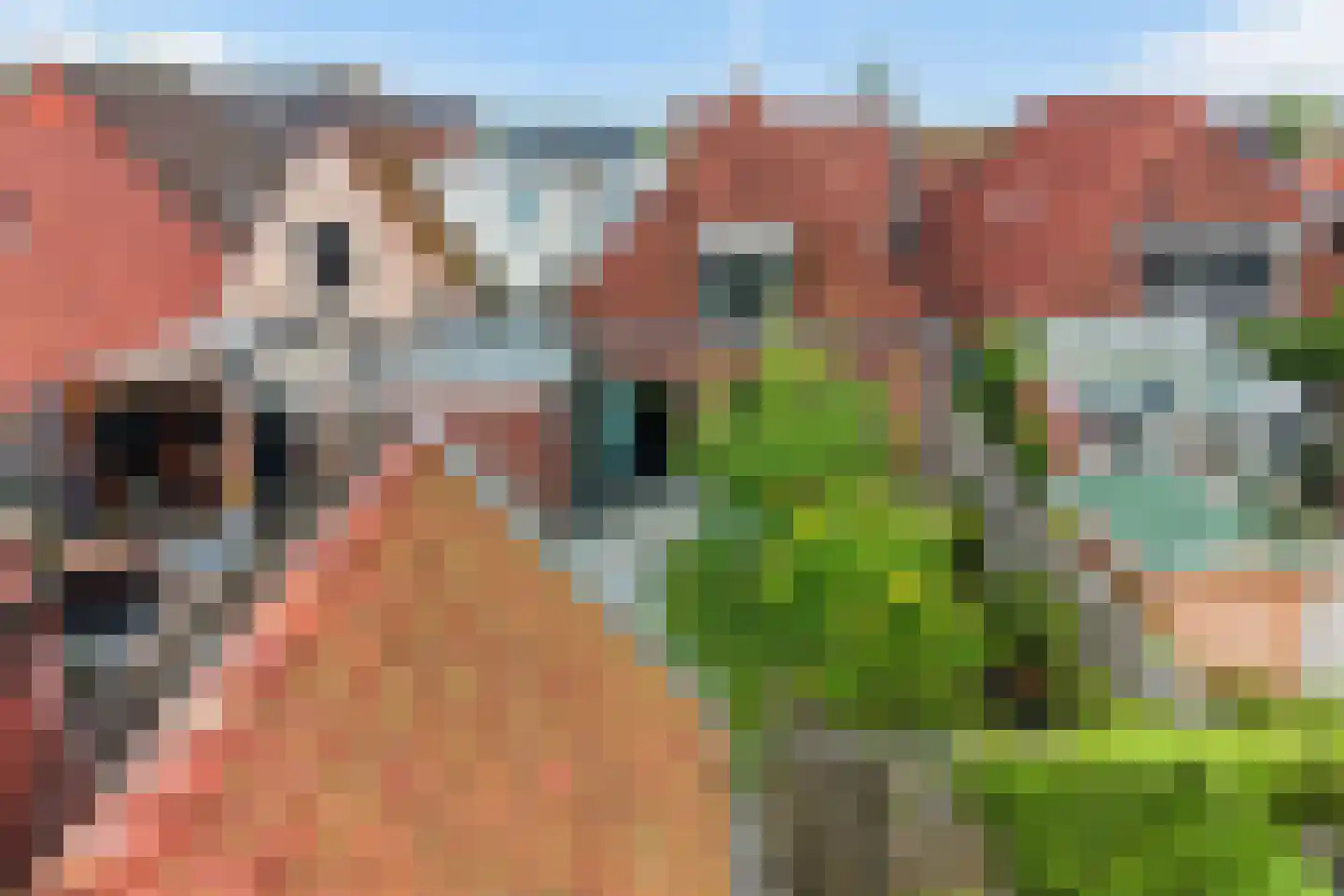 Hegebuorren 11 Holwert thumbnail 40