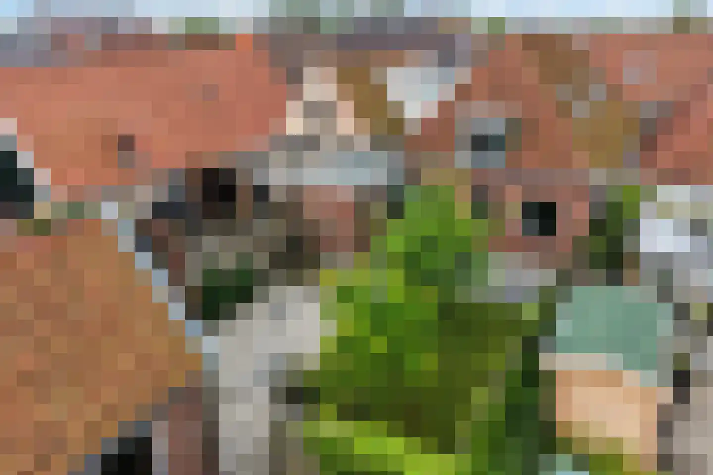 Hegebuorren 11 Holwert thumbnail 41