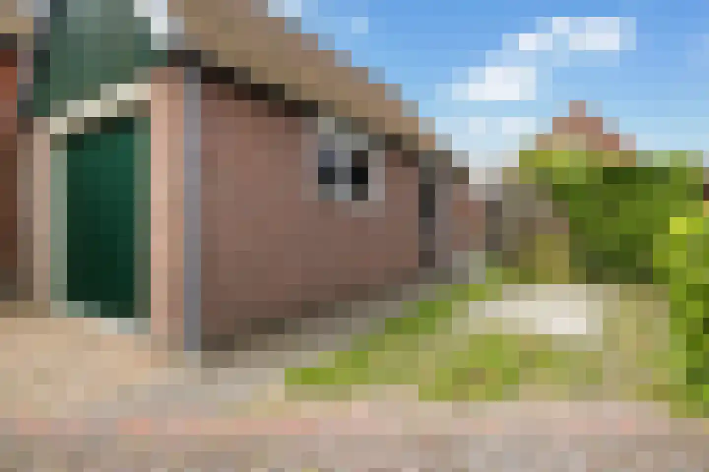 Hegebuorren 11 Holwert thumbnail 7