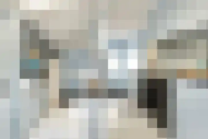 Hegebuorren 25 Holwert thumbnail 11