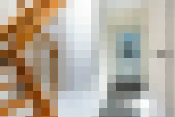 Hegebuorren 25 Holwert thumbnail 12