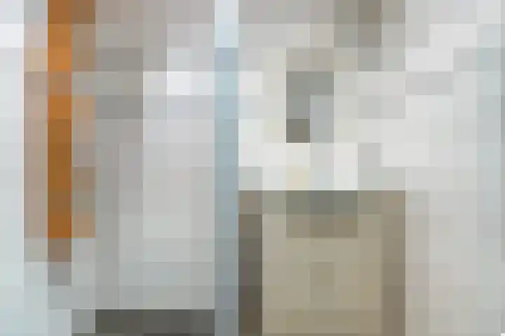 Hegebuorren 25 Holwert thumbnail 16