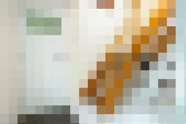 Hegebuorren 25 Holwert thumbnail 17