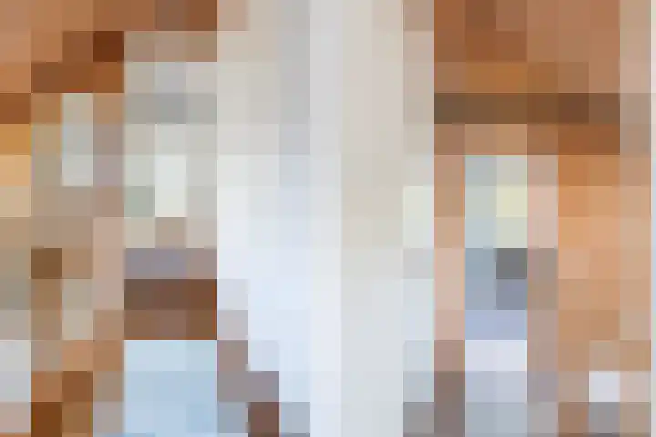 Hegebuorren 25 Holwert thumbnail 18