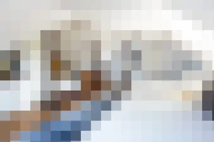 Hegebuorren 25 Holwert thumbnail 19