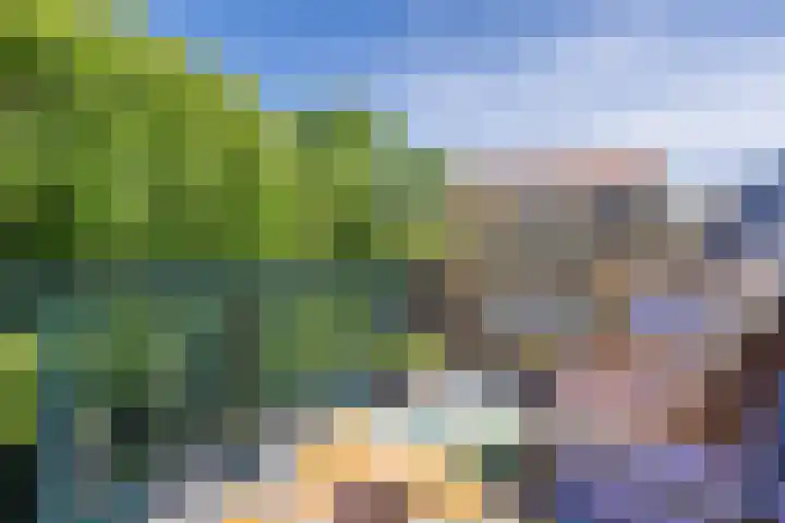 Hegebuorren 25 Holwert thumbnail 23