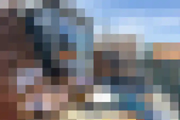 Hegebuorren 25 Holwert thumbnail 24