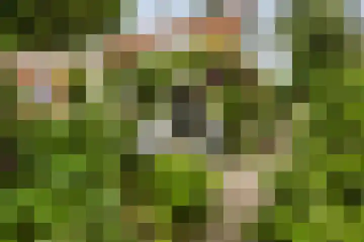 Hegebuorren 25 Holwert thumbnail 35