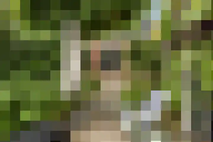 Hegebuorren 25 Holwert thumbnail 37