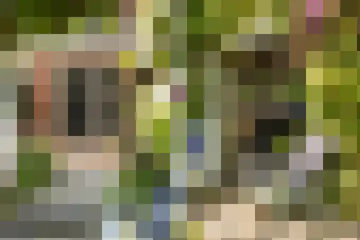 Hegebuorren 25 Holwert thumbnail 38