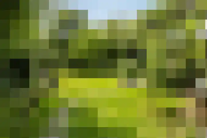 Hegebuorren 25 Holwert thumbnail 39