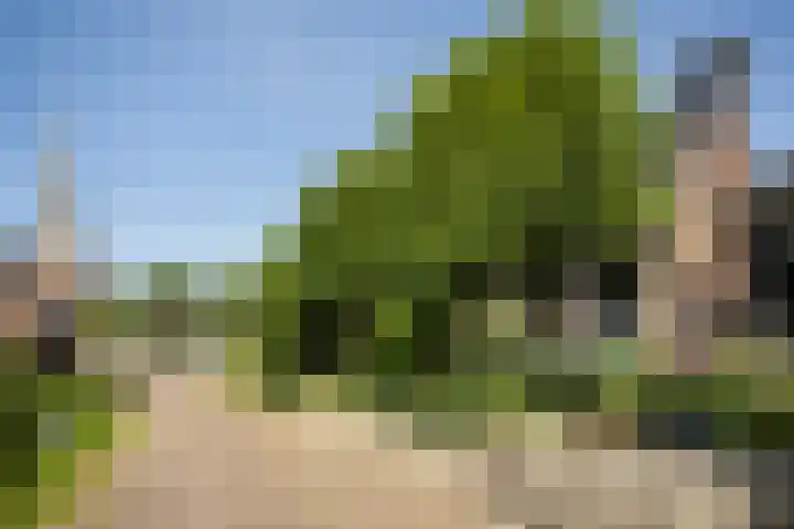 Hegebuorren 25 Holwert thumbnail 4