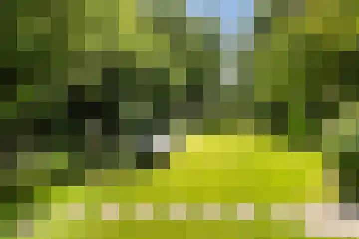 Hegebuorren 25 Holwert thumbnail 40