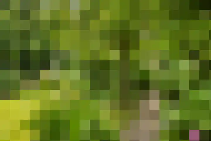 Hegebuorren 25 Holwert thumbnail 45