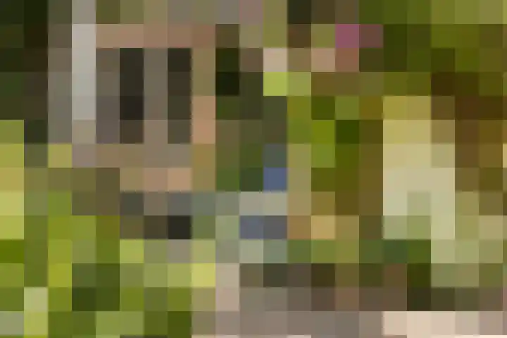 Hegebuorren 25 Holwert thumbnail 46