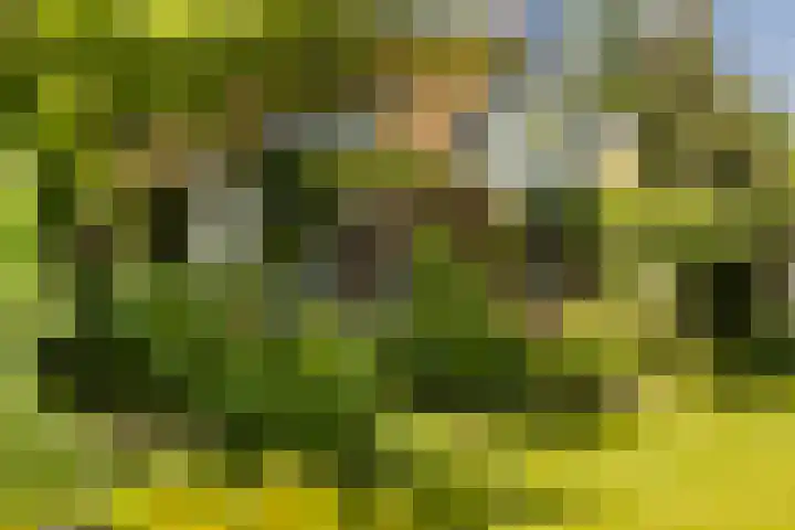 Hegebuorren 25 Holwert thumbnail 47