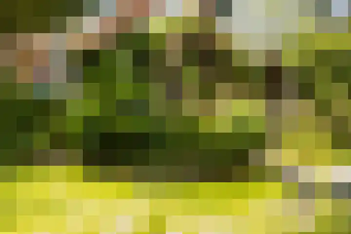 Hegebuorren 25 Holwert thumbnail 49