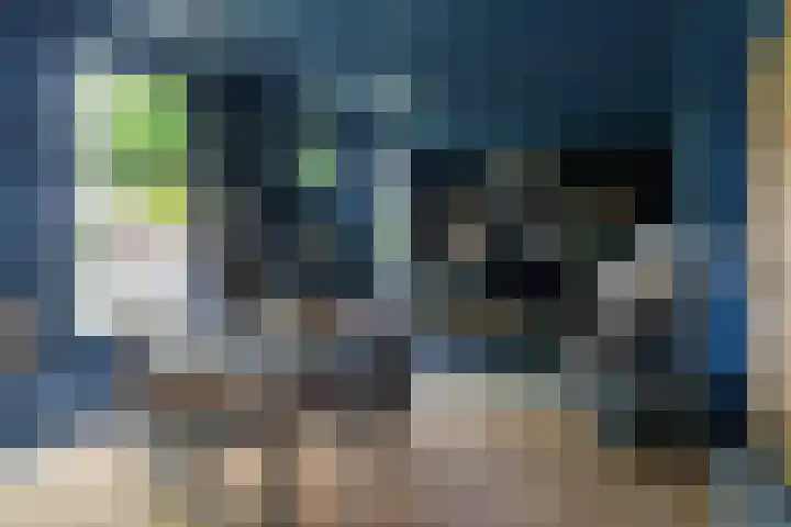 Hegebuorren 25 Holwert thumbnail 5