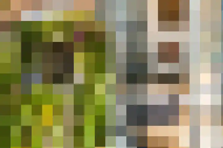 Hegebuorren 25 Holwert thumbnail 50