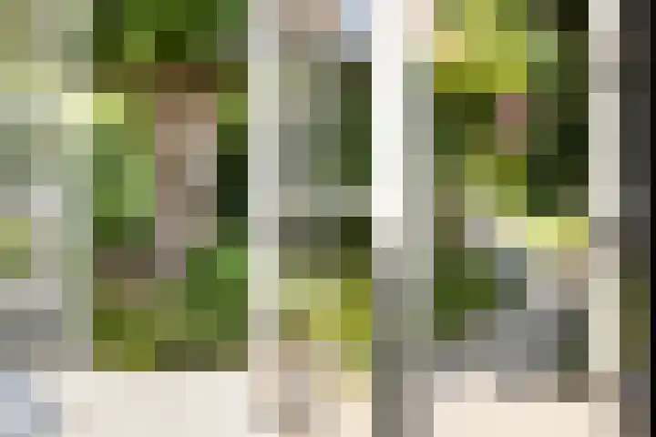 Hegebuorren 25 Holwert thumbnail 51