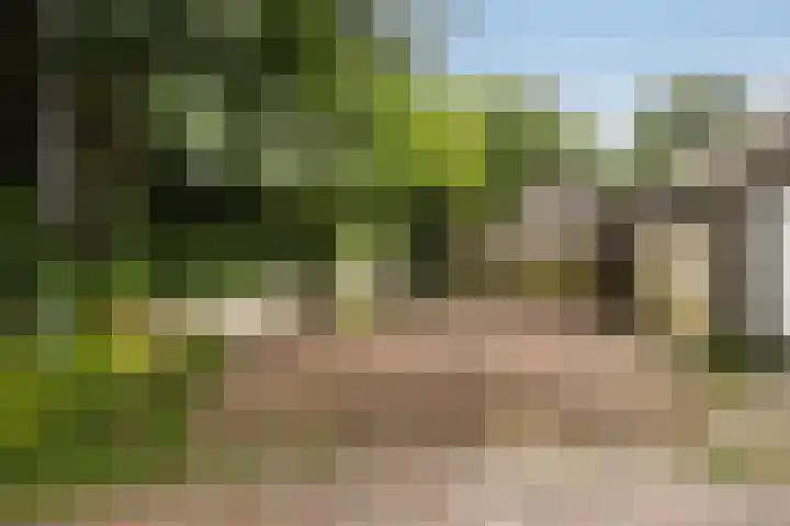 Hegebuorren 25 Holwert thumbnail 53