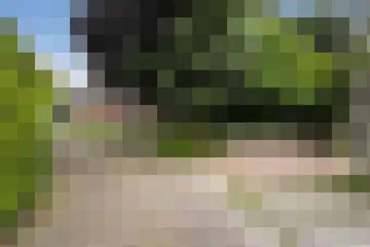 Hegebuorren 25 Holwert thumbnail 54
