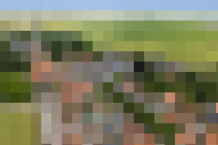 Hegebuorren 25 Holwert thumbnail 55