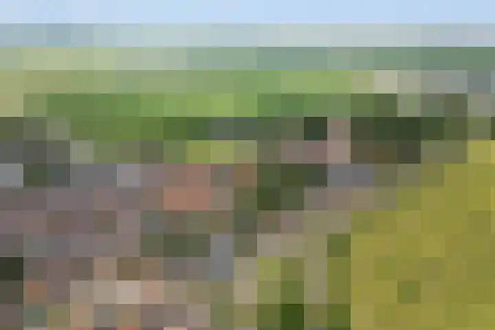 Hegebuorren 25 Holwert thumbnail 56