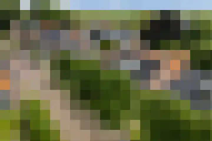 Hegebuorren 25 Holwert thumbnail 57