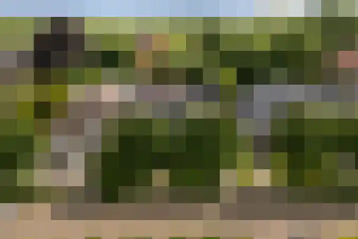 Hegebuorren 25 Holwert thumbnail 58