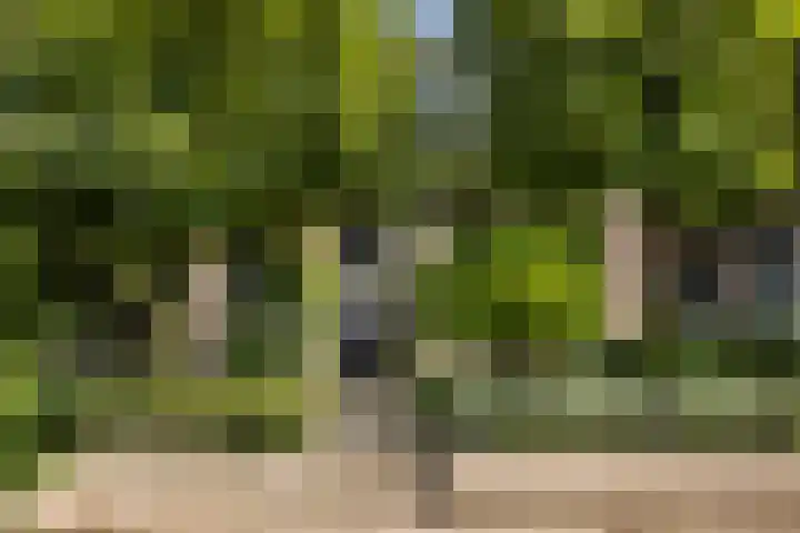 Hegebuorren 25 Holwert thumbnail 59